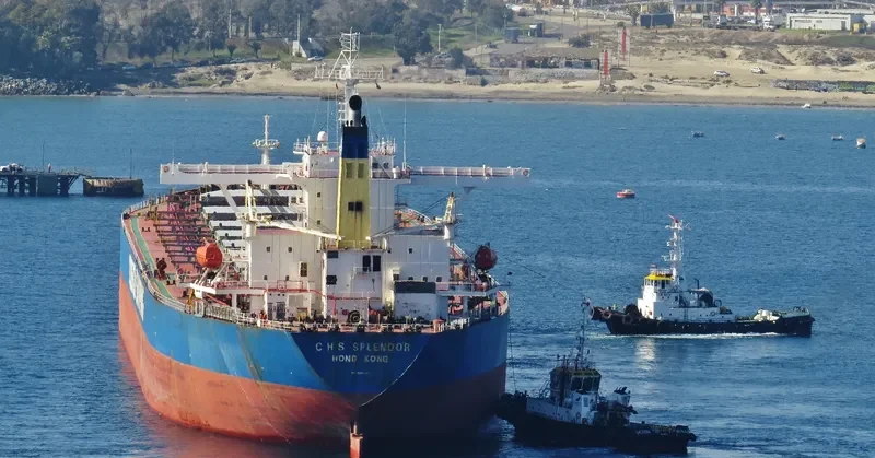 C H S SPLENDOR Bulk Carrier IMO 9281700 photo 7