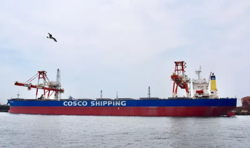 C H S SPLENDOR Bulk Carrier IMO 9281700 photo 10