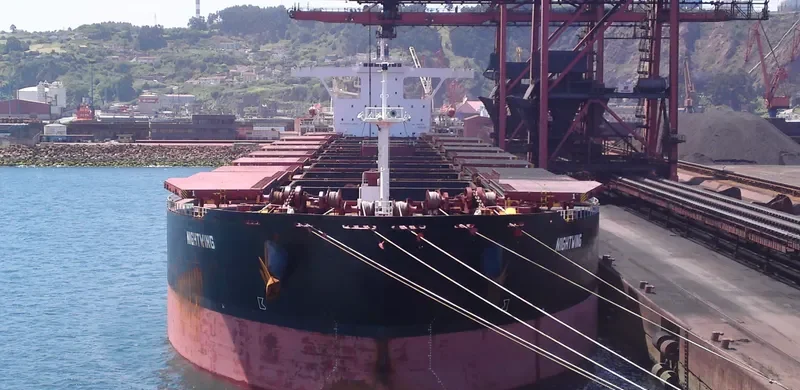 NIGHTWING Bulk Carrier IMO 9281712 photo 5