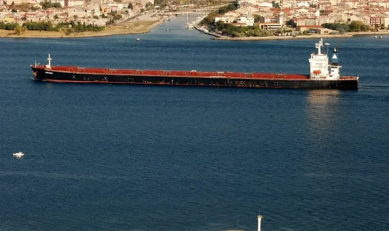 NIGHTWING Bulk Carrier IMO 9281712 photo 8