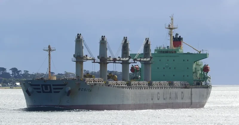 WORLDERA 5 Bulk Carrier IMO 9281724 photo 2