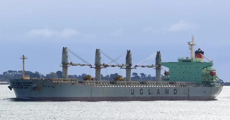 WORLDERA 5 Bulk Carrier IMO 9281724 photo 3