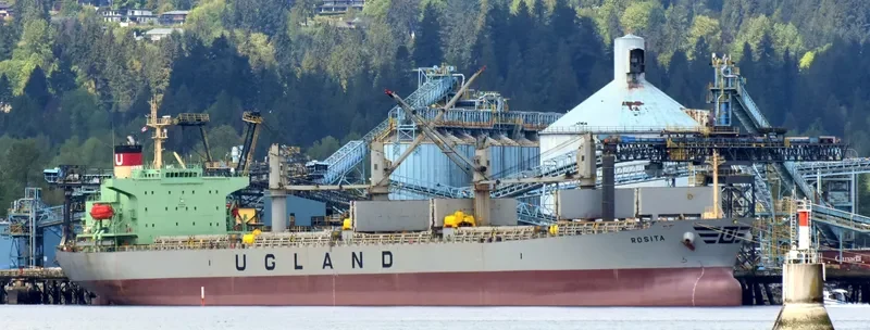 WORLDERA 5 Bulk Carrier IMO 9281724 photo 4