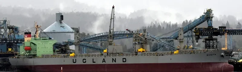 WORLDERA 5 Bulk Carrier IMO 9281724 photo 5