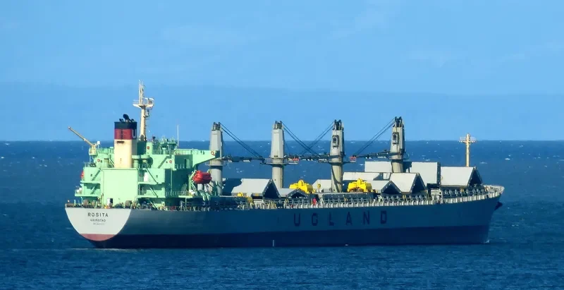 WORLDERA 5 Bulk Carrier IMO 9281724 photo 6