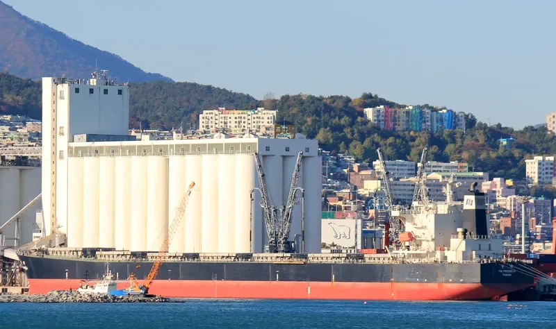 NS HANGZHOU Bulk Carrier IMO 9281827 photo 6