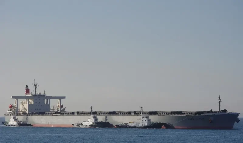 CAPE ACACIA Bulk Carrier IMO 9281906 photo 3