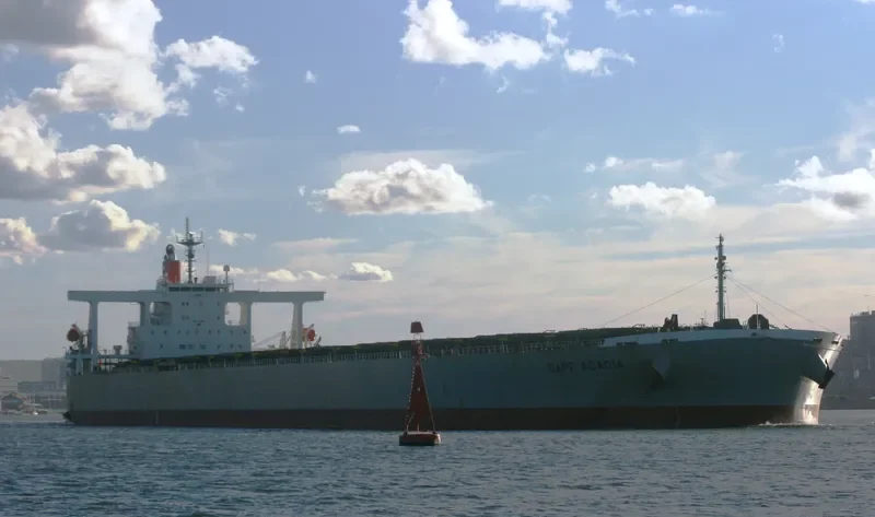 CAPE ACACIA Bulk Carrier IMO 9281906 photo 6