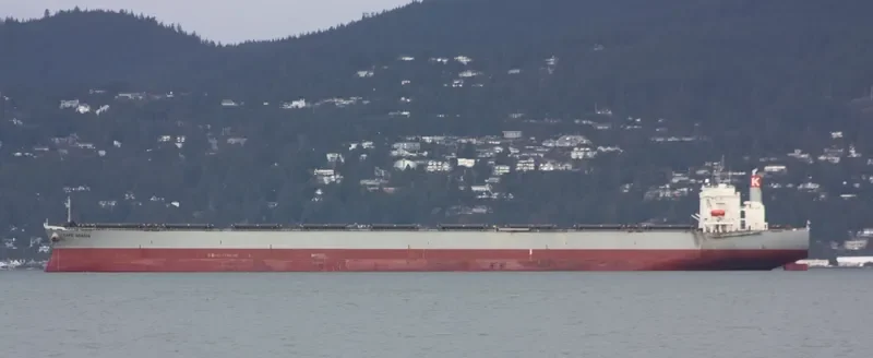 CAPE ACACIA Bulk Carrier IMO 9281906 photo 8