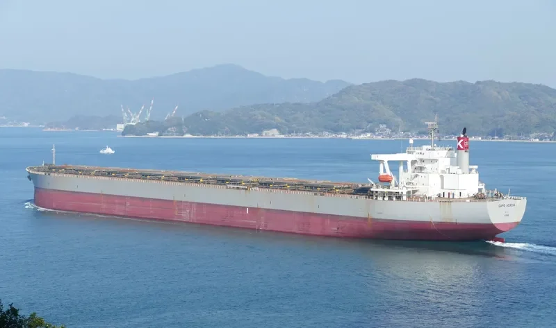 CAPE ACACIA Bulk Carrier IMO 9281906 photo 9