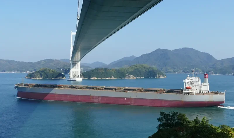 CAPE ACACIA Bulk Carrier IMO 9281906 photo 10