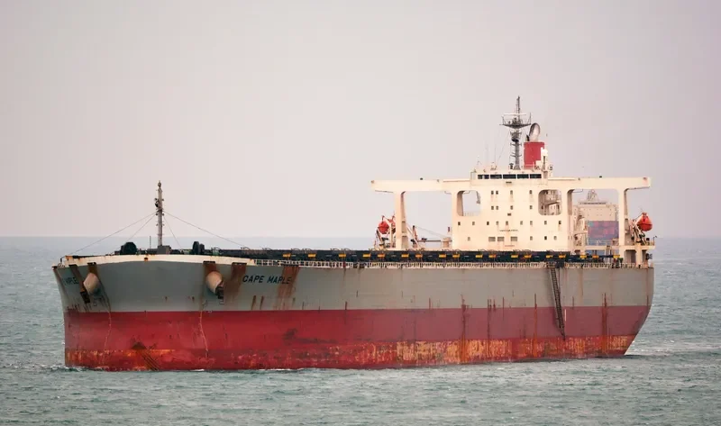 CAPE MAPLE Bulk Carrier IMO 9281918 photo 4