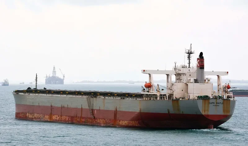 CAPE MAPLE Bulk Carrier IMO 9281918 photo 5