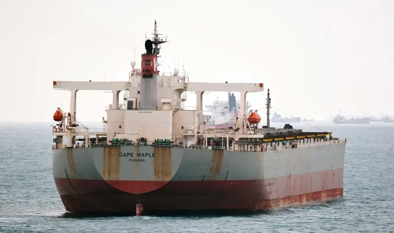 CAPE MAPLE Bulk Carrier IMO 9281918 photo 6