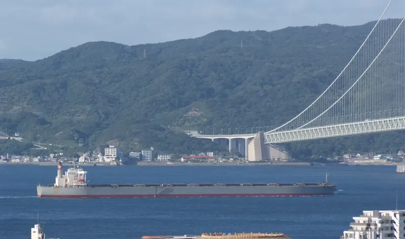 CAPE MAPLE Bulk Carrier IMO 9281918 photo 7