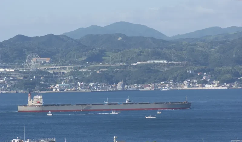 CAPE MAPLE Bulk Carrier IMO 9281918 photo 8