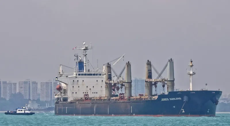 JOSCO NANJING Bulk Carrier IMO 9281956 photo 3