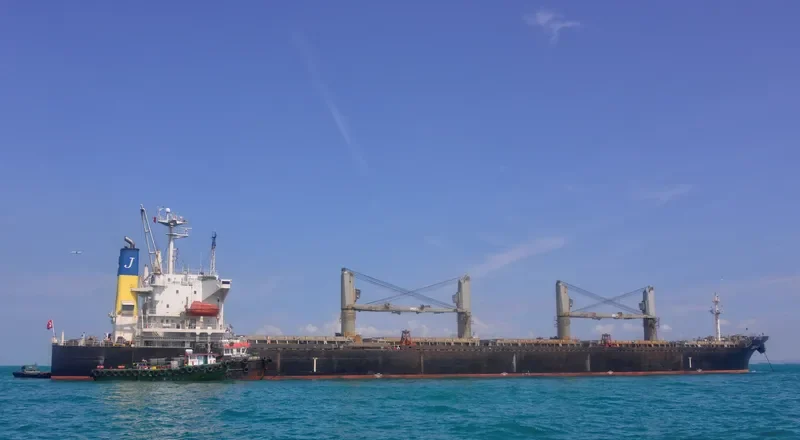 JOSCO NANJING Bulk Carrier IMO 9281956 photo 5