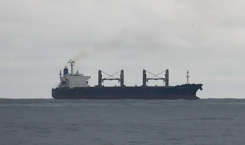 JOSCO NANJING Bulk Carrier IMO 9281956 photo 7