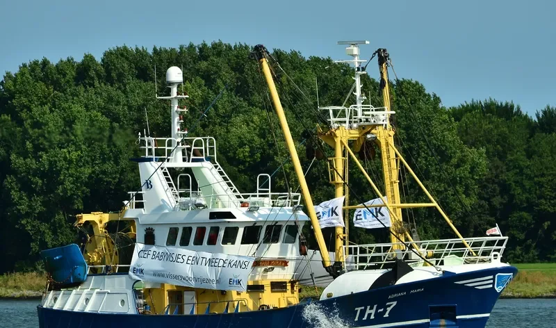 ADRIANA MARIA General Cargo IMO 9282003 photo 8