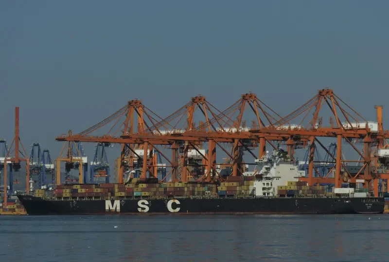 MSC ELA Container Ship IMO 9282259 photo 2