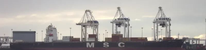 MSC ELA Container Ship IMO 9282259 photo 4