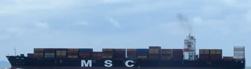MSC ANS Container Ship IMO 9282261 photo 2