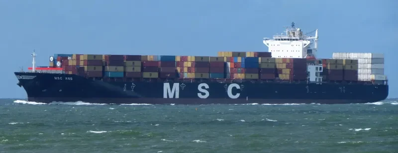 MSC ANS Container Ship IMO 9282261 photo 3