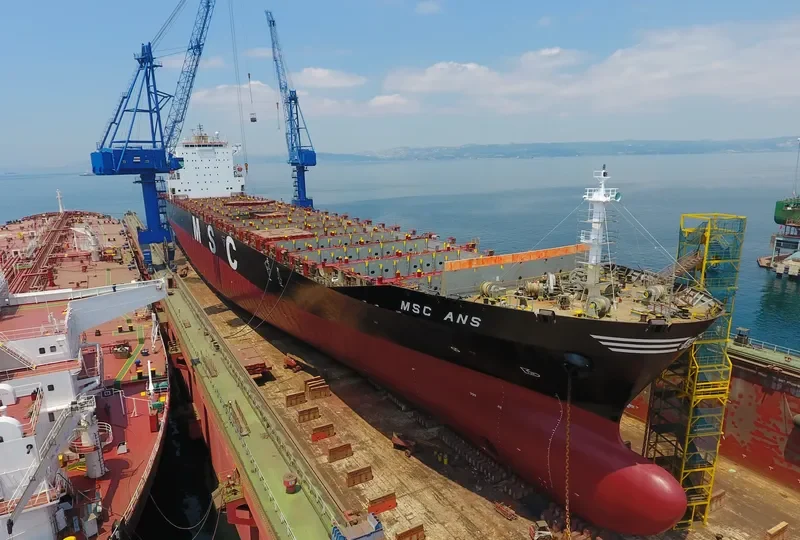 MSC ANS Container Ship IMO 9282261 photo 4