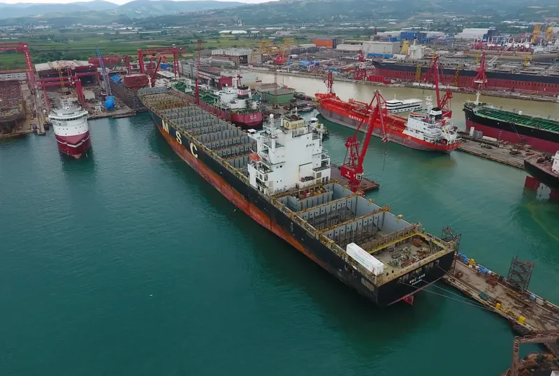 MSC ANS Container Ship IMO 9282261 photo 5