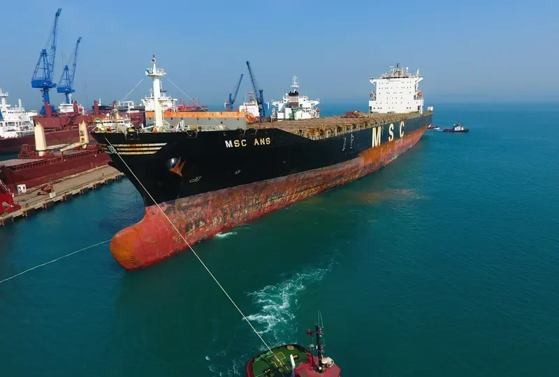 MSC ANS Container Ship IMO 9282261 photo 6