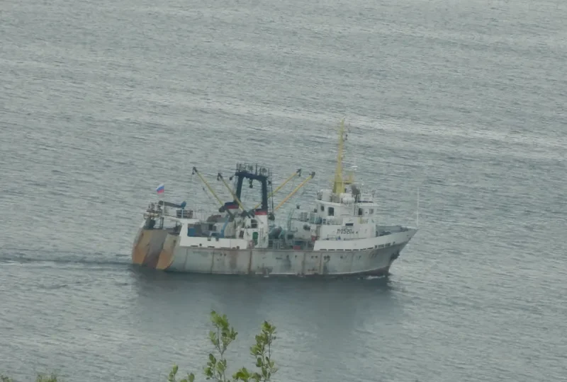 PROFESSOR BOYKO General Cargo IMO 9282340