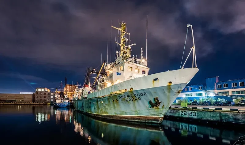 PROFESSOR BOYKO General Cargo IMO 9282340 photo 3