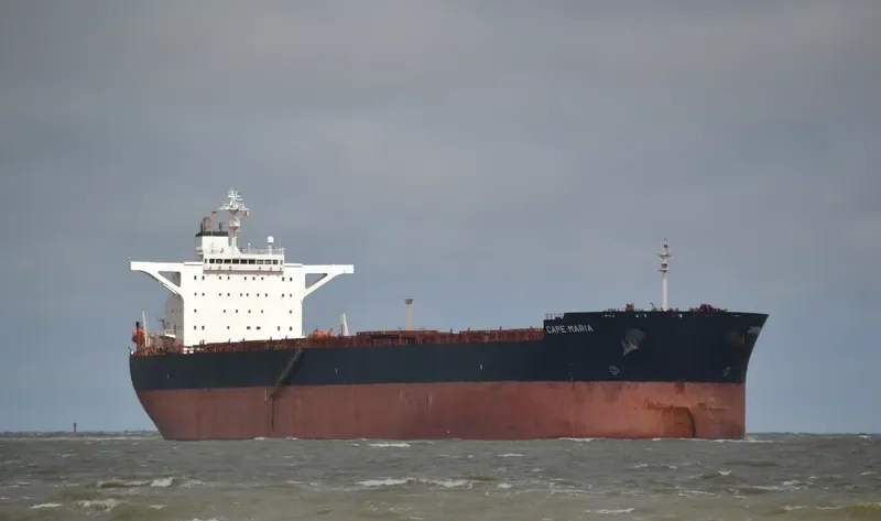 MOJO Bulk Carrier IMO 9282431 photo 8