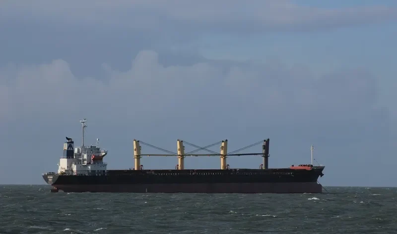 PELAGIANI Bulk Carrier IMO 9282613 photo 2