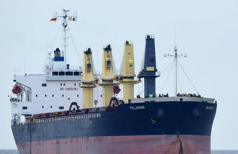 PELAGIANI Bulk Carrier IMO 9282613 photo 6