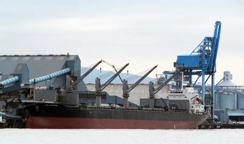 PELAGIANI Bulk Carrier IMO 9282613 photo 7