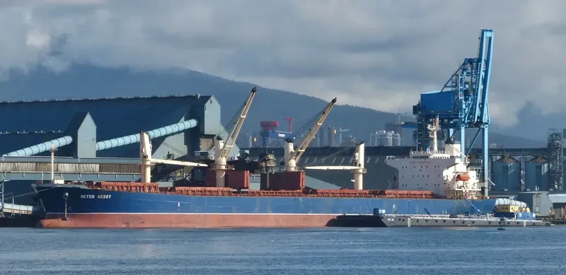 OKTEM AKSOY Bulk Carrier IMO 9282742 photo 4