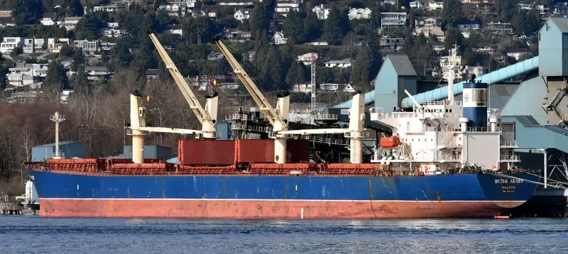 OKTEM AKSOY Bulk Carrier IMO 9282742 photo 6