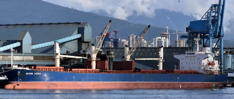 OKTEM AKSOY Bulk Carrier IMO 9282742 photo 7