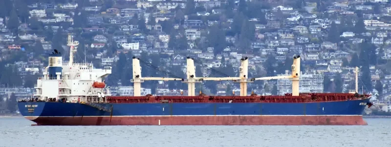 OKTEM AKSOY Bulk Carrier IMO 9282742 photo 9