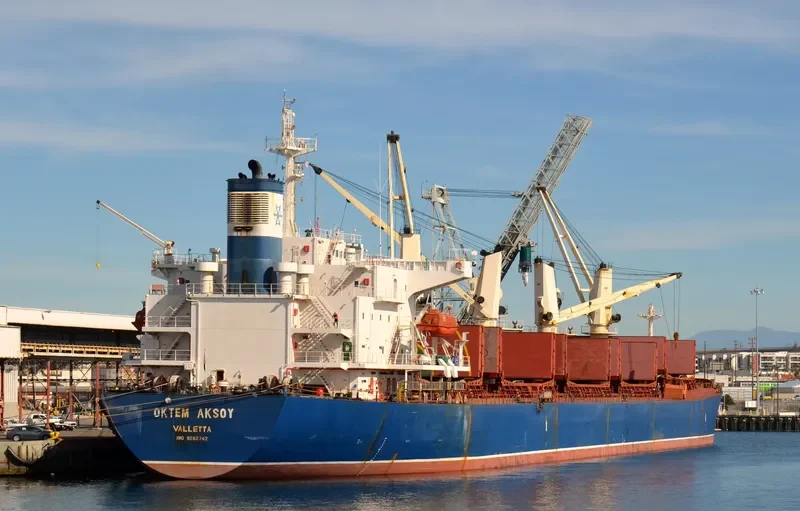 OKTEM AKSOY Bulk Carrier IMO 9282742 photo 10
