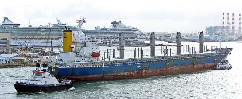 TAN BINH 256 Bulk Carrier IMO 9282778 photo 5