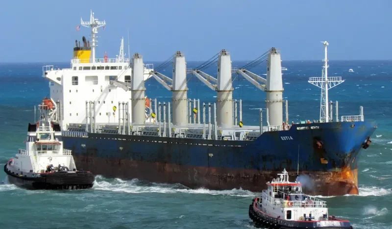 TAN BINH 256 Bulk Carrier IMO 9282778 photo 6