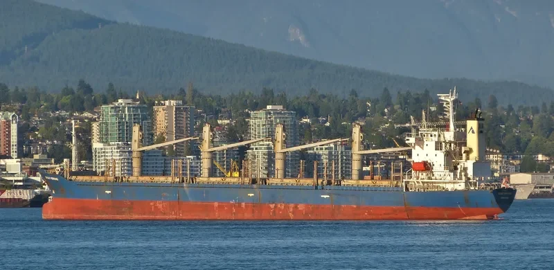 TEAM CHALLENGE Bulk Carrier IMO 9282780 photo 8