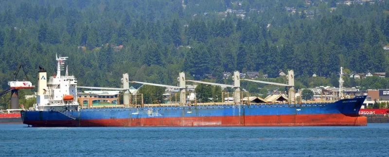 TEAM CHALLENGE Bulk Carrier IMO 9282780 photo 9