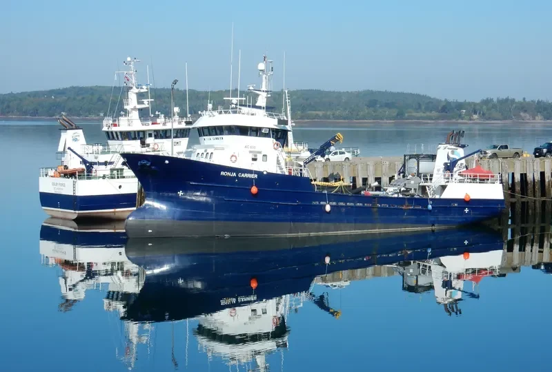RONJA CARRIER General Cargo IMO 9282845 photo 2