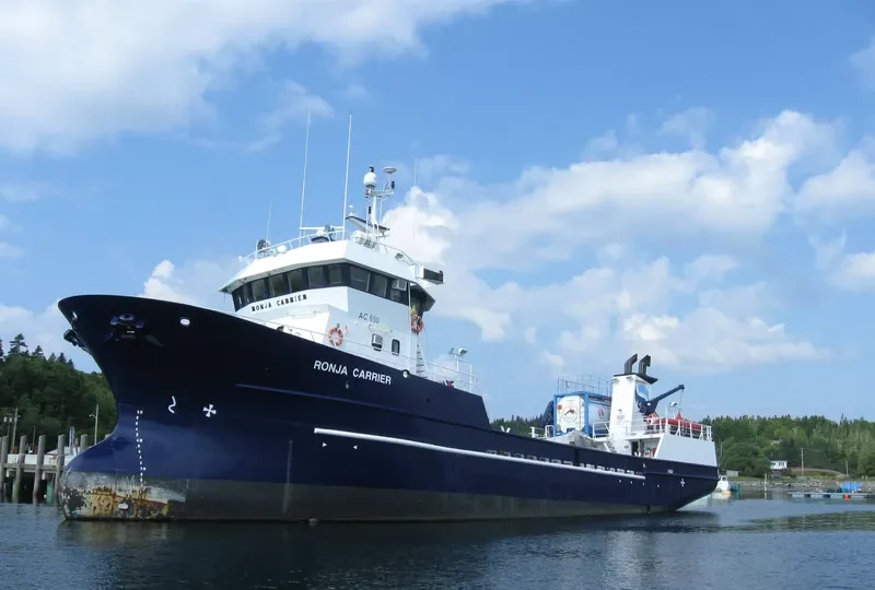 RONJA CARRIER General Cargo IMO 9282845 photo 5