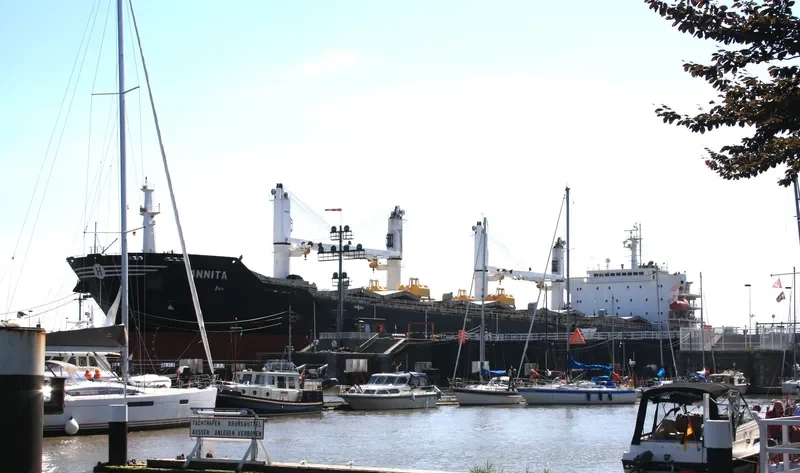ANNITA Bulk Carrier IMO 9282869 photo 4