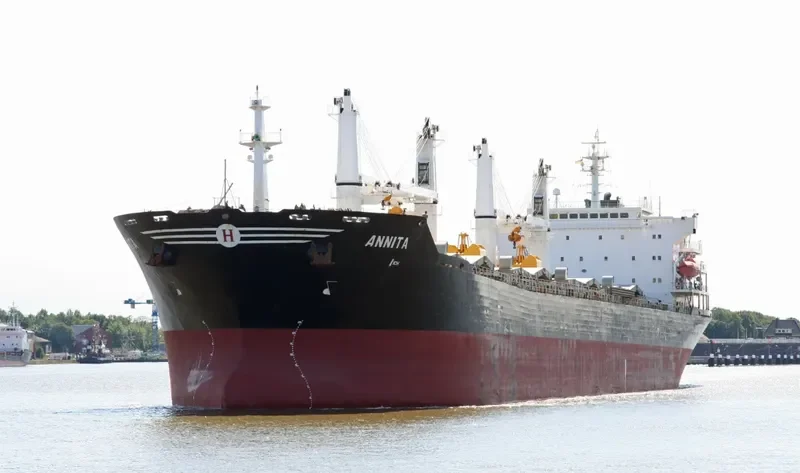 ANNITA Bulk Carrier IMO 9282869 photo 10